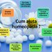 Cabinet homeopatie dr. Firuti Irina